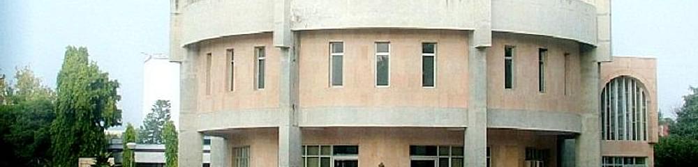 Apex International College