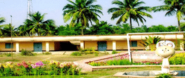 SN College