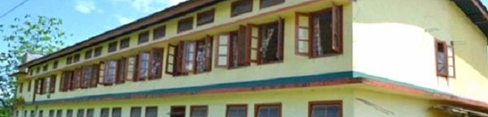 Sonari College