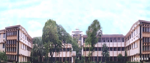 undefined cover image
