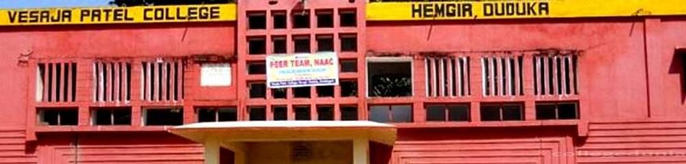 Vesaja Patel College