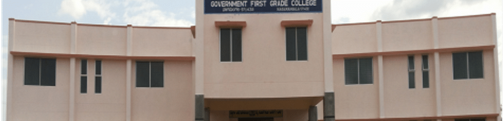 Government First Grade College