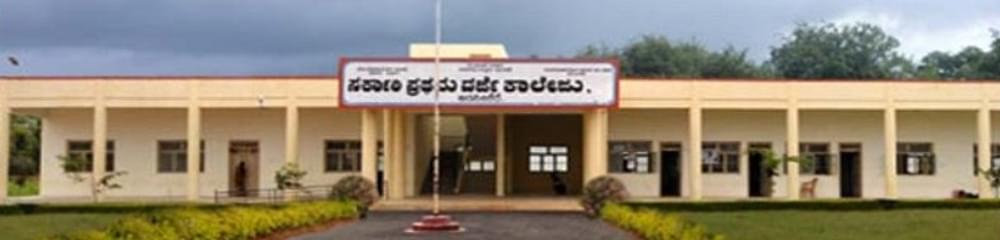 Government First Grade College