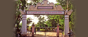 undefined cover image
