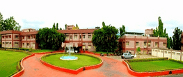 Indian Institute of Oilseeds Research