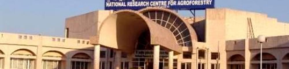 National Research Centre for Agroforestry - [NRCAF]