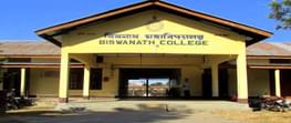 Biswanath College