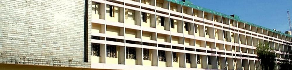 College of Veterinary Science and  Animal Husbandry