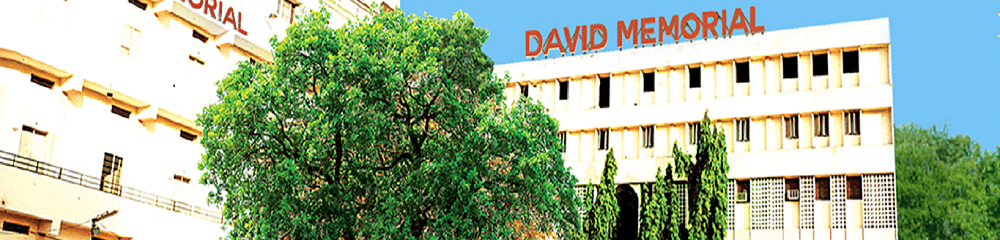 David Memorial Institutions