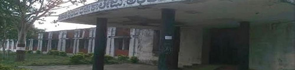 Government First Grade College