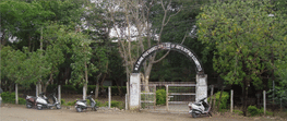 M.S. Irani Degree College Of Arts Science & Commerce