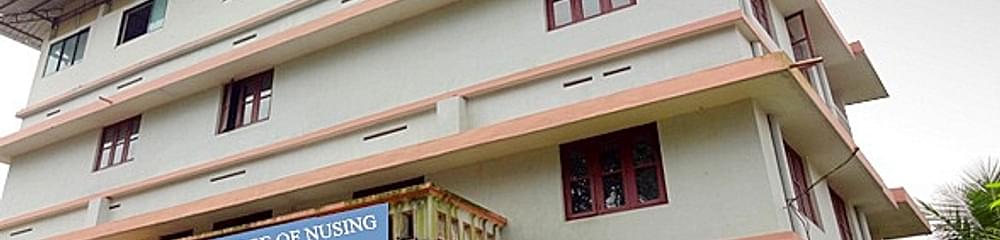 Najath College of Nursing  Aluva