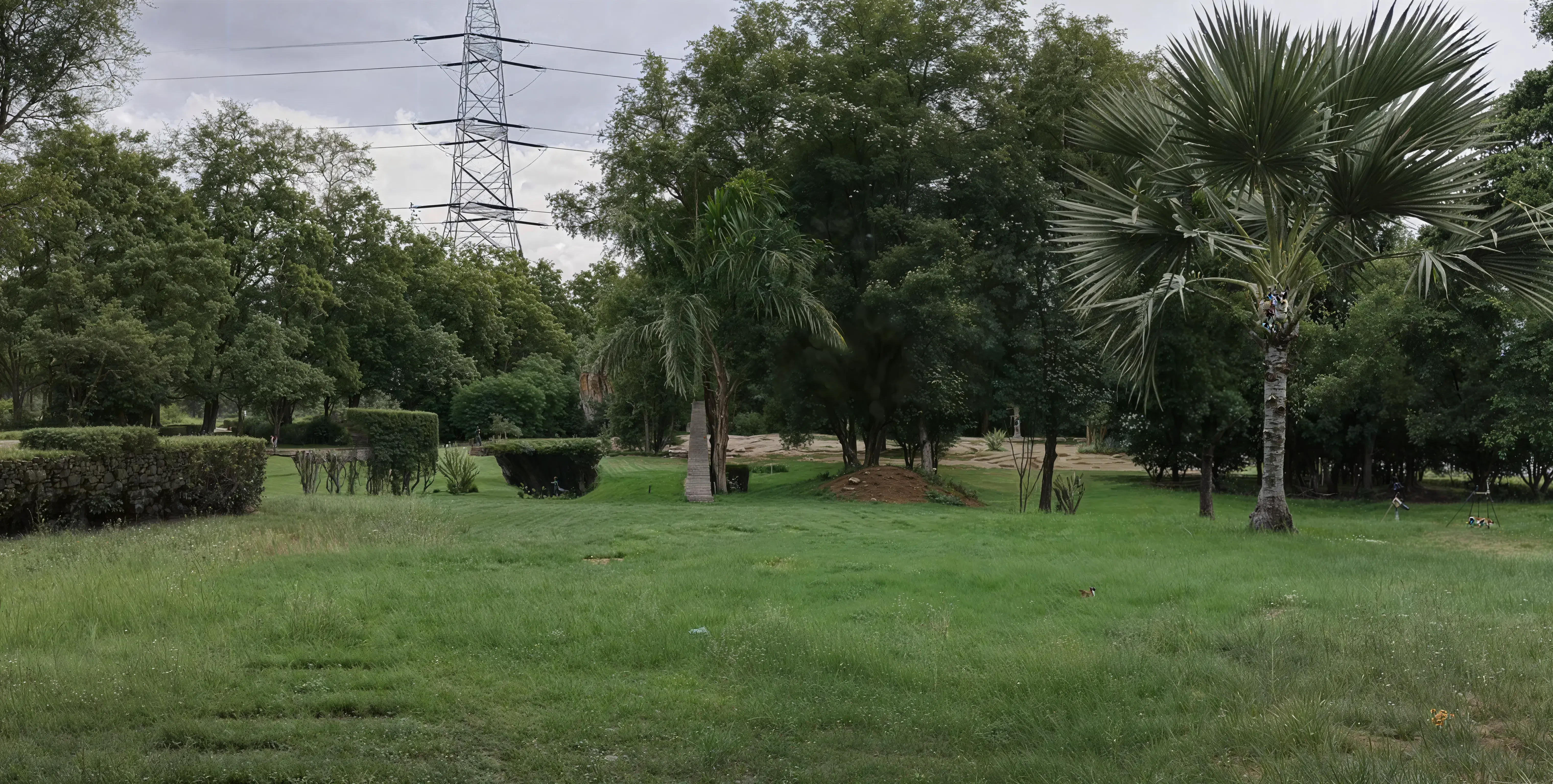 MLNMC Campus photo 4