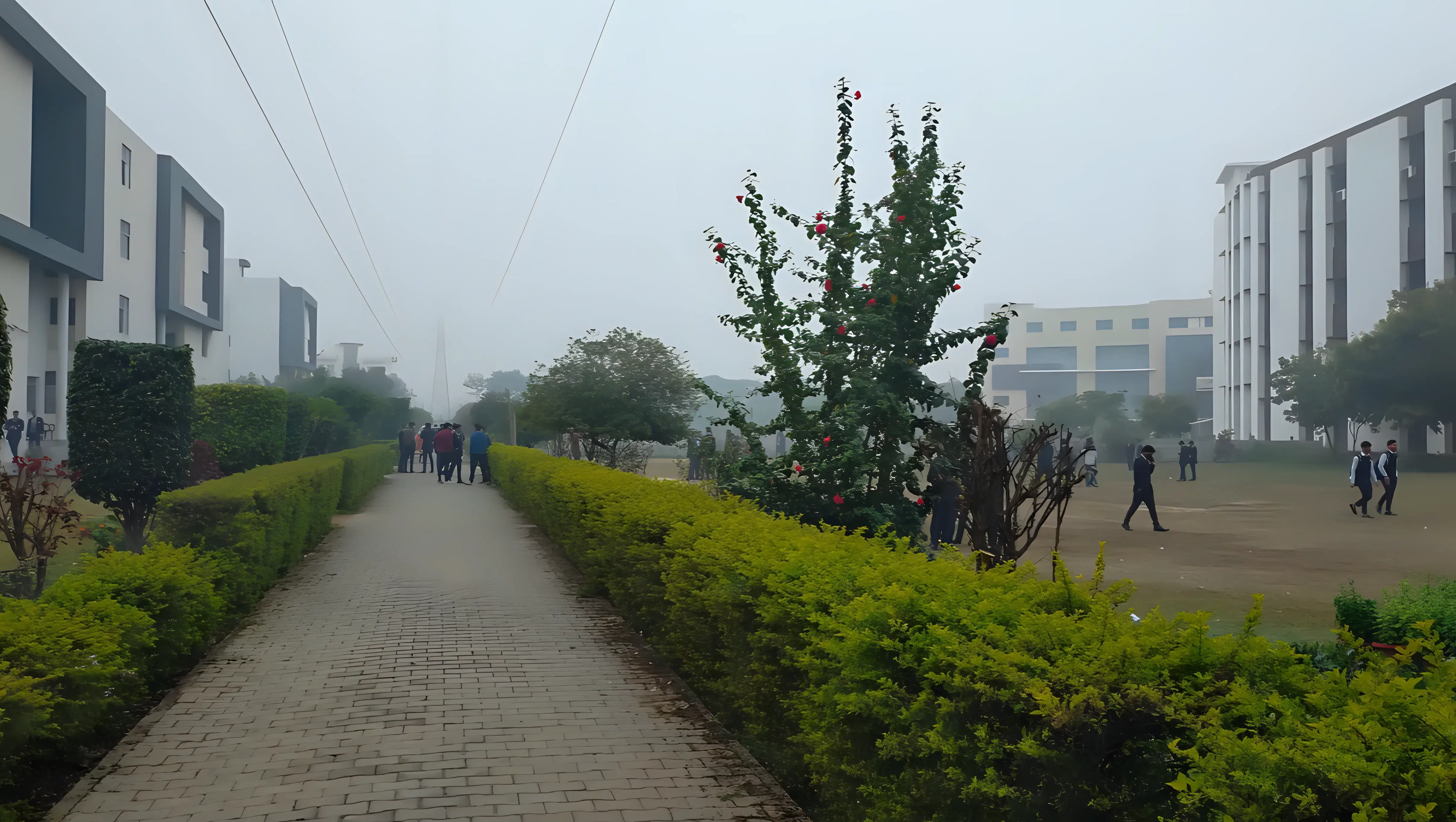Bansal Institute of Engineering and Technology Lucknow Campus photo 17