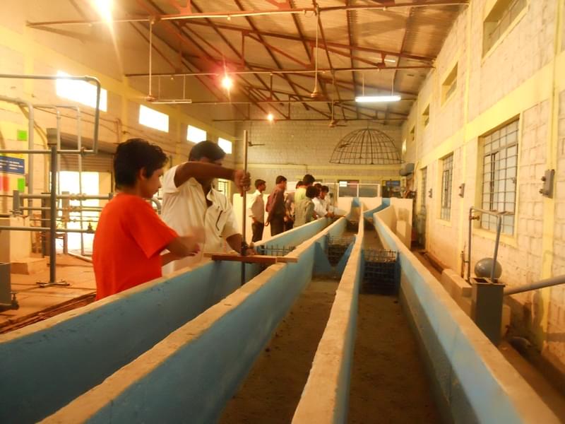 Birla Institute of Applied Science Nainital Infrastructure photo 1