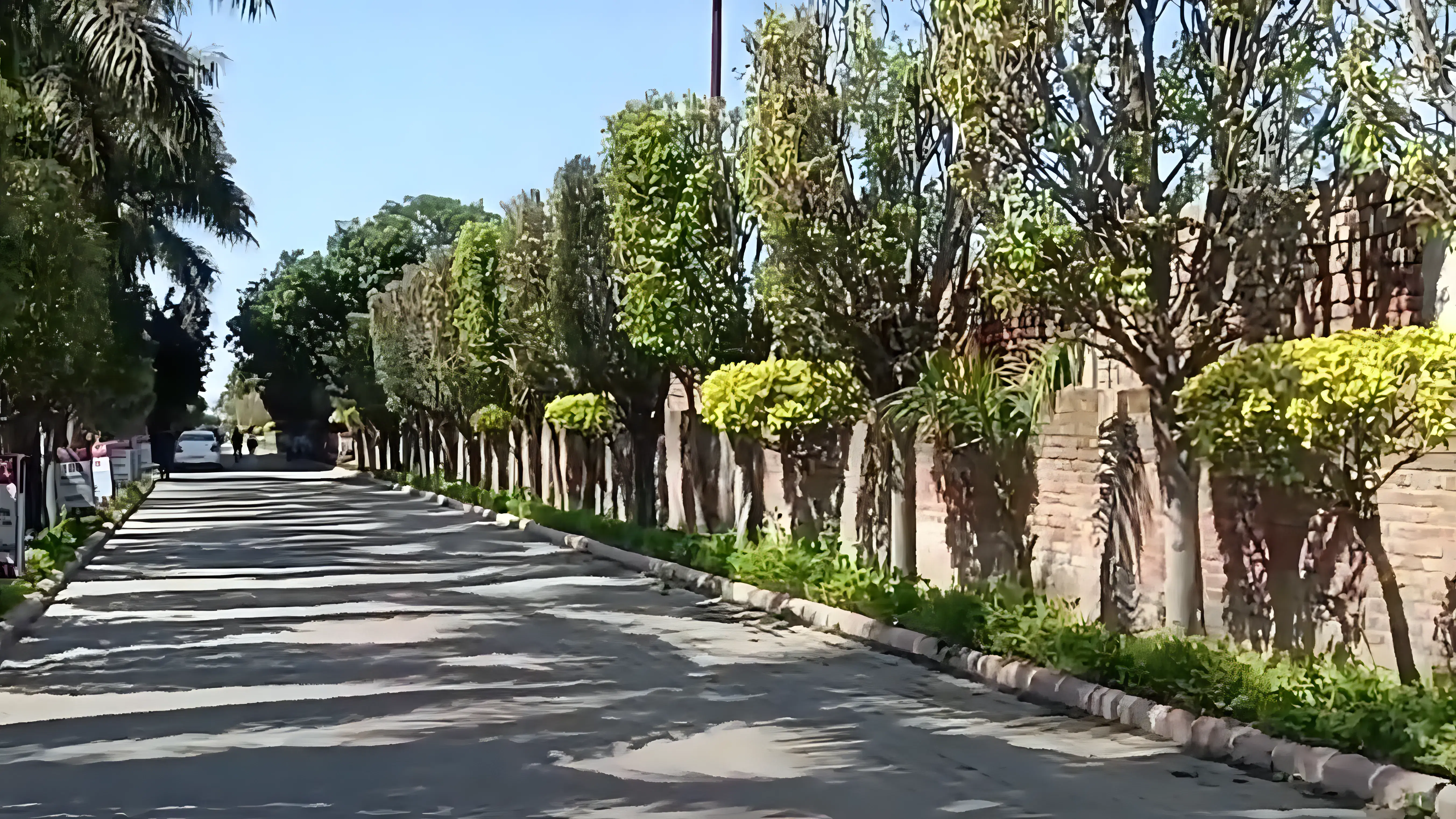 DIET Meerut campus photo 12