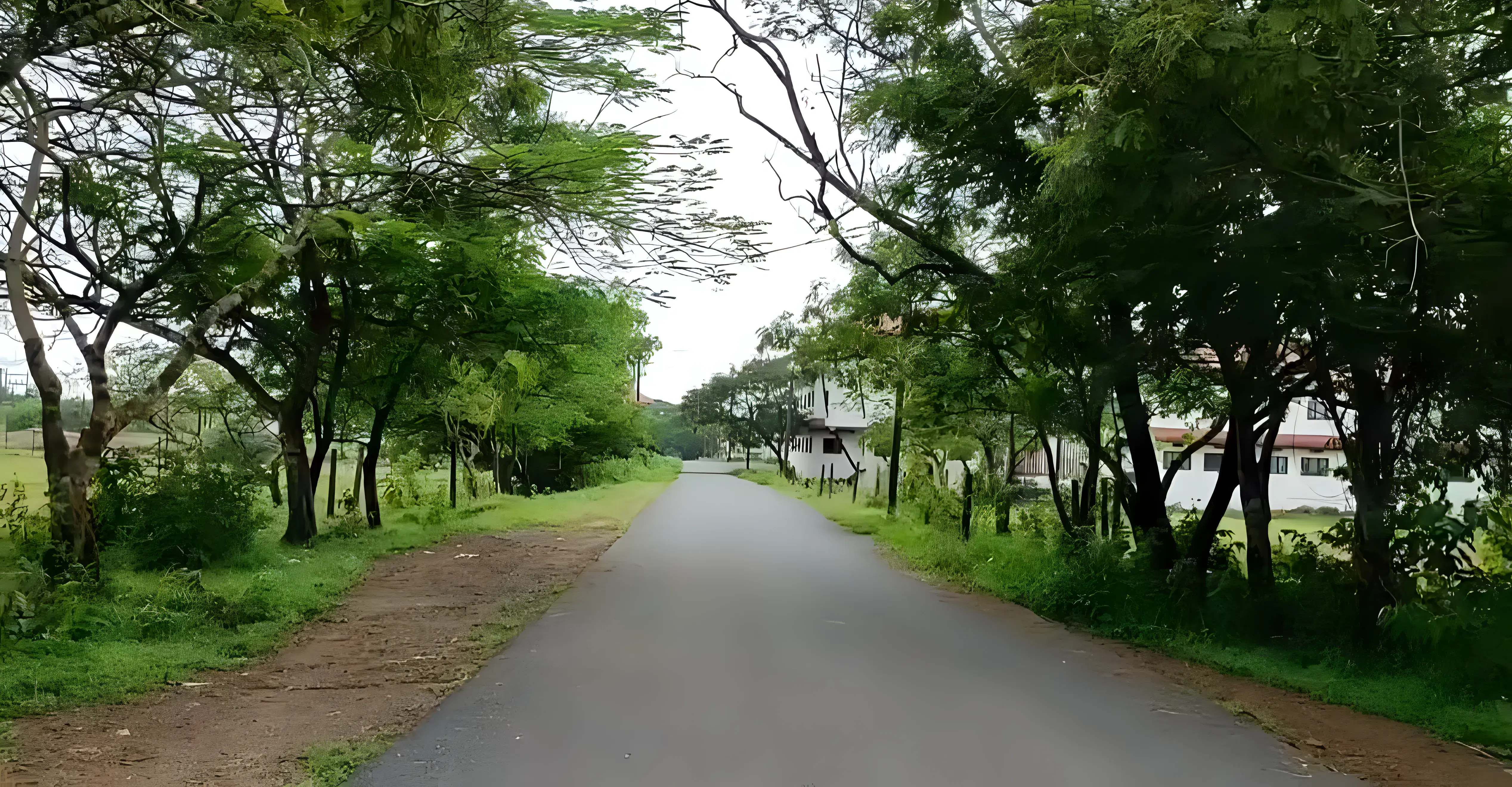 Goa College of Engineering Ponda campus photo 5