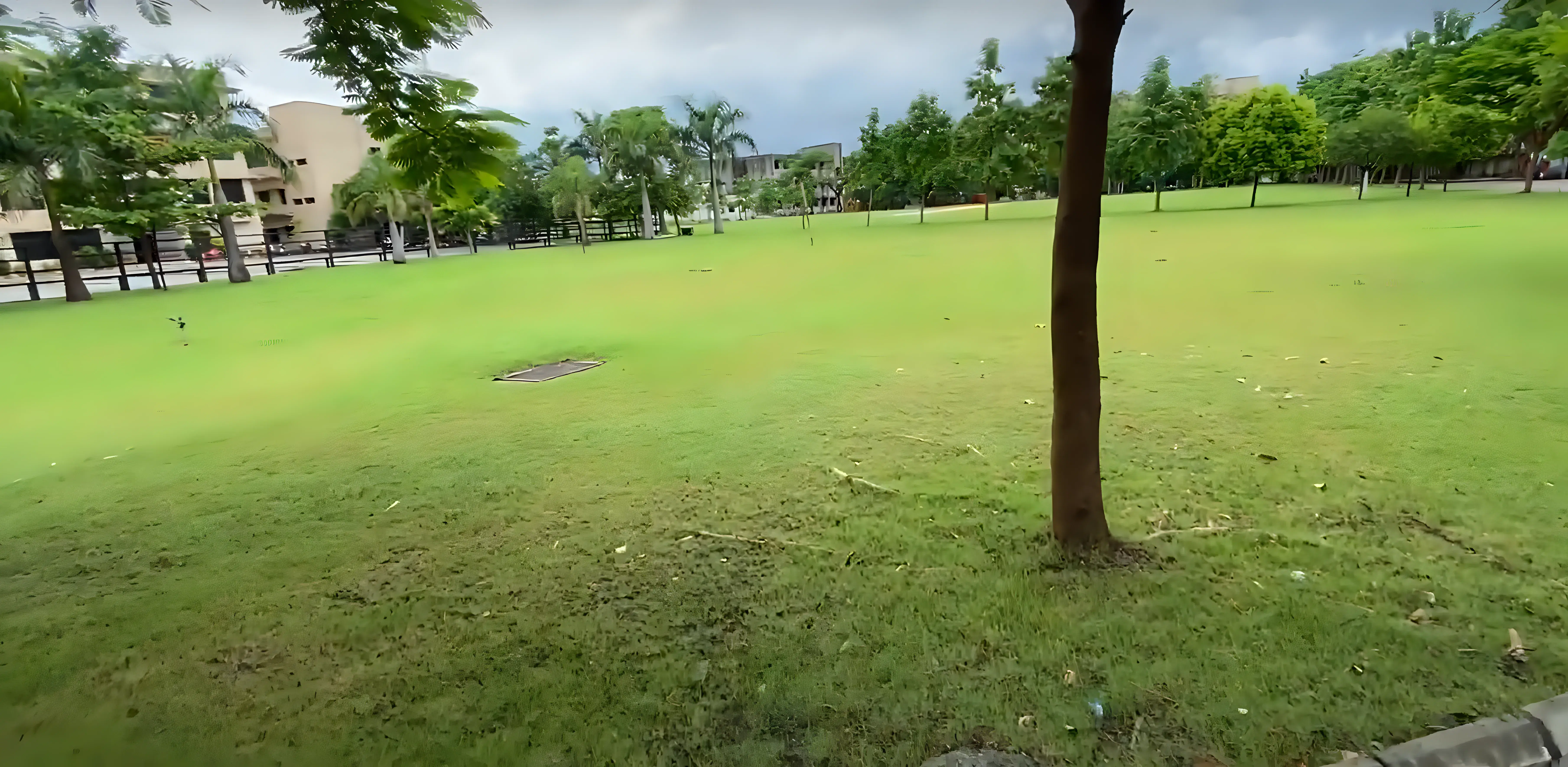 KDK Nagpur Campus photo 3