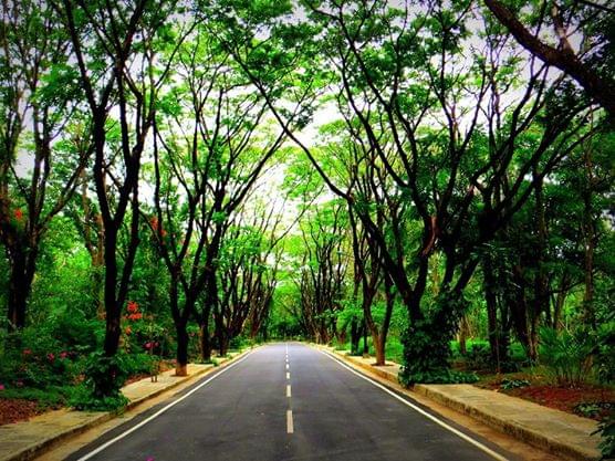 IIM Bangalore Campus photo 2