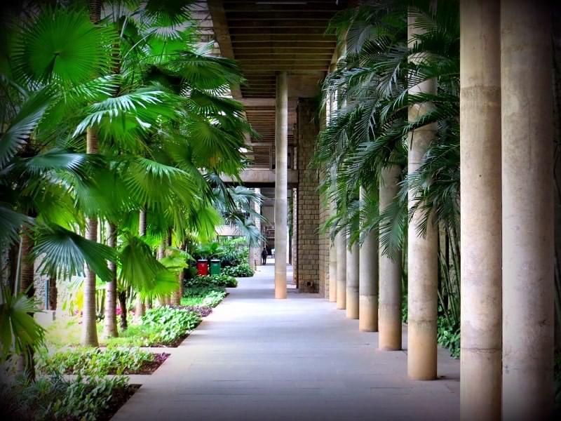 IIM Bangalore Campus photo 1