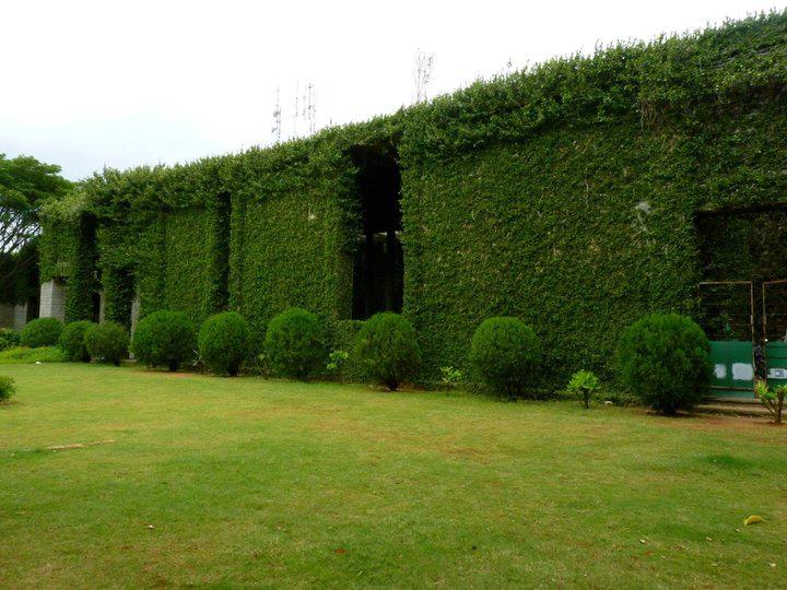 IIM Bangalore Campus photo 4