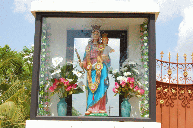 Auxilium College Vellore Campus & Infrastructure photo 5