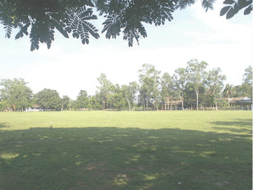 Bimala Prasad Chaliha College Kamrup BPC - Gallery photo 7