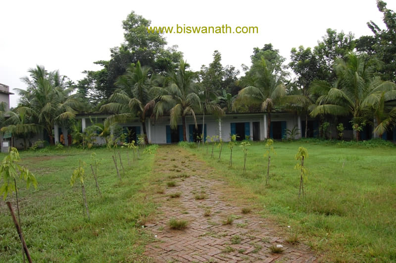 Biswanath College Sonitpur Images photo 9