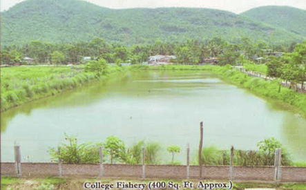 Dakshin Kamrup College Nalbari DKC - Gallery photo 8