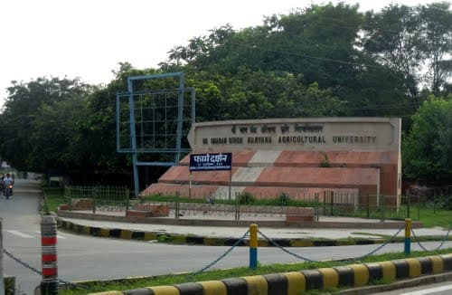 CCSHAU Campus Buildng photo 7