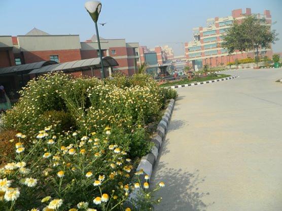 USICT Academic Building photo 9