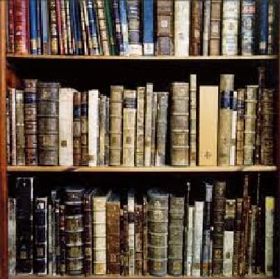 Netizens College of Information Technology and Professional Studies Latur NCITPS photo 2