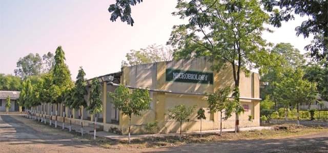 SGBAU SGBAU - Gallery photo 3