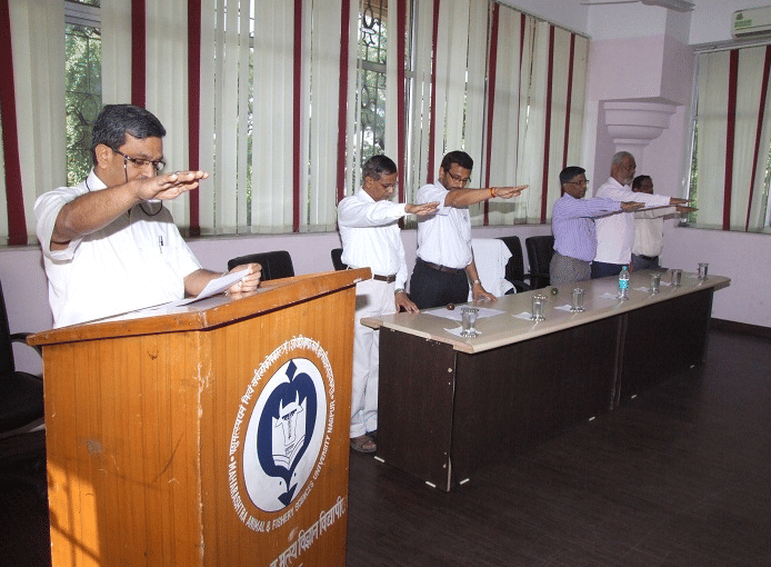 MAFSU MAFSU - Gallery photo 3