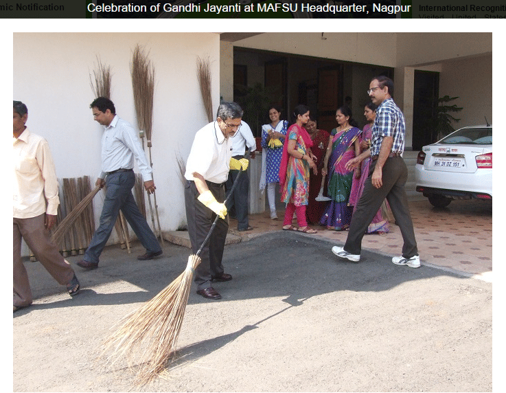 MAFSU MAFSU - Gallery photo 4