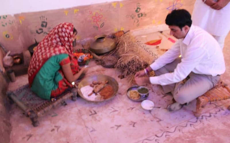 Institute of Hospitality and Management Patiala IHM Images photo 8