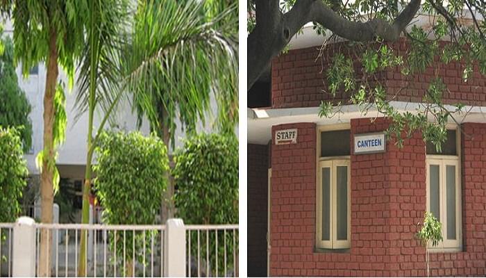 Dayanand College Hisar DNC photo 5