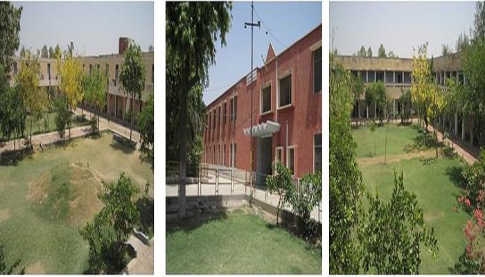 Dayanand College Hisar DNC photo 8