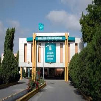 Junagadh Agricultural University Campus Building photo 7