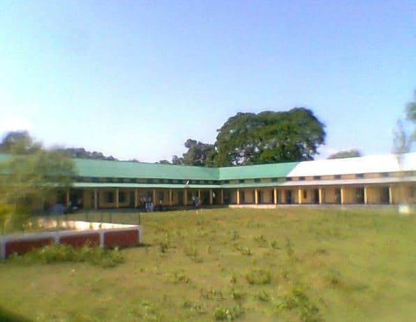 Dhing College Nagaon Campus photo 9