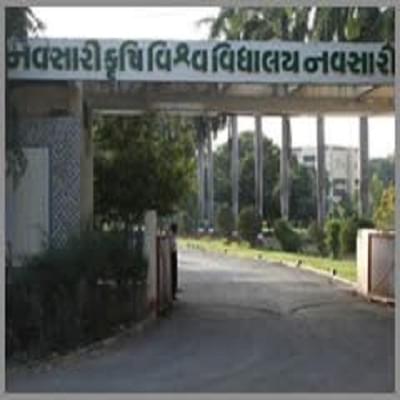 Navsari Agricultural University Campus Building photo 5