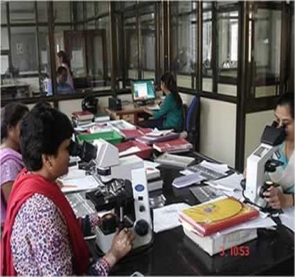 GMC Baroda MC photo 4