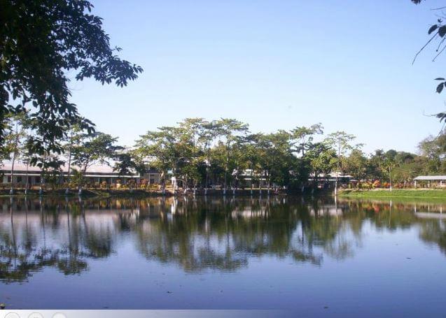 Dikhowmukh College Sibsagar dikhowmukh college photo 2