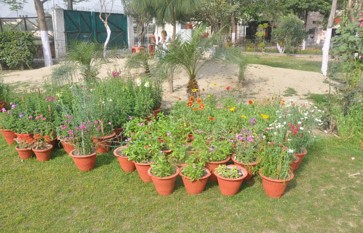 BBK DAV College for Women Amritsar View of Campus photo 1