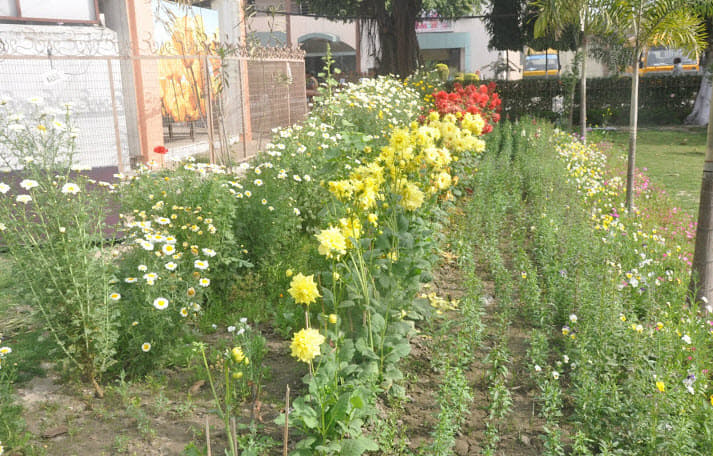 BBK DAV College for Women Amritsar View of Campus photo 2
