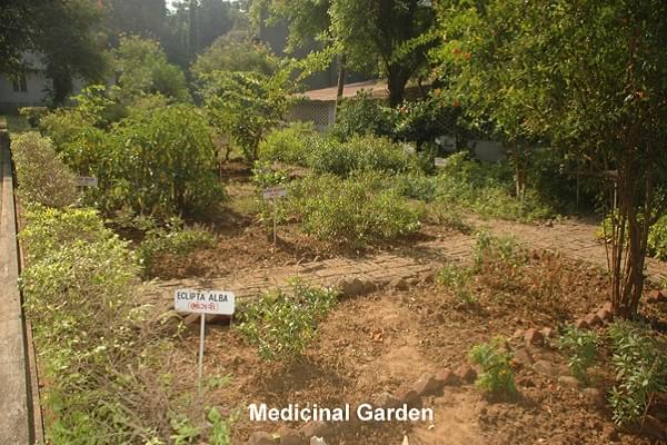 AR College of Pharmacy and GH Patel Institute of Pharmacy Vallabh Vidyanagar Campus Photos photo 4