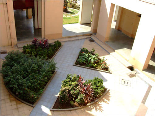 SIES Indian Institute of Environment Management Navi Mumbai Images photo 2