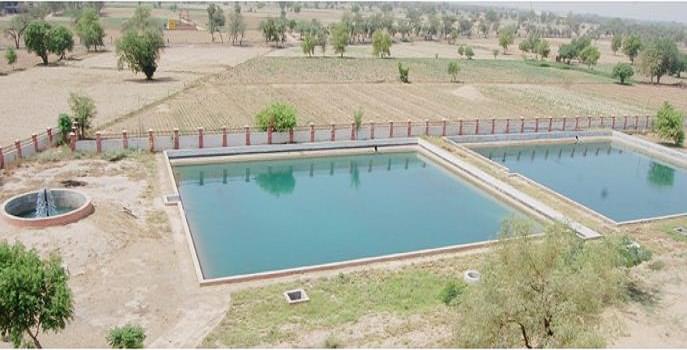 Ch. Devi Lal State Institute of Engineering & Technology Sirsa Campus photo 9