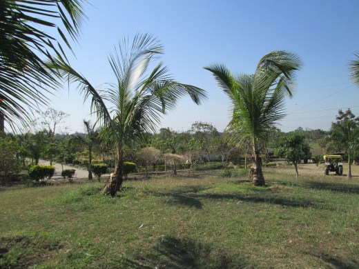 BM College of Technology Indore Campus photo 16