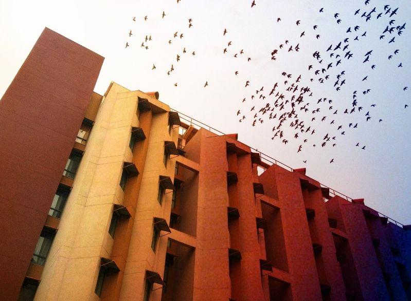 NIIT University Neemrana Campus photo 4